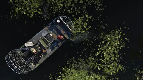 Grassrivers 03 — official GTA VI screenshot